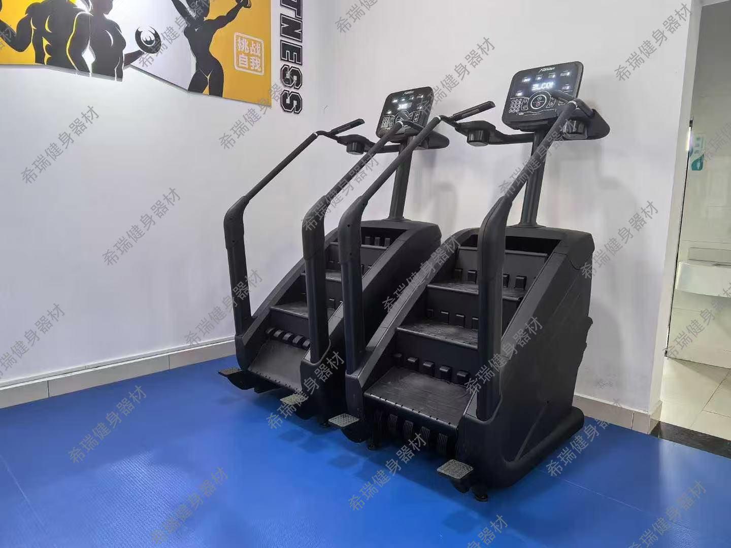 Commercial Cardio Equipment Ex - огляд і ціна Home Gym Used