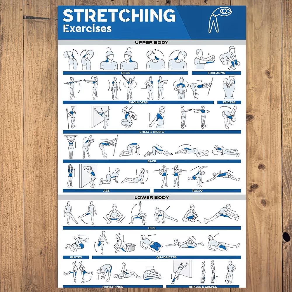 Modern Labeled Full-Body Stret - огляд і ціна Home Gym Room